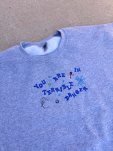 Load image into Gallery viewer, You’re in Terrible Danger