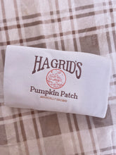 Load image into Gallery viewer, Pumpkin Patch